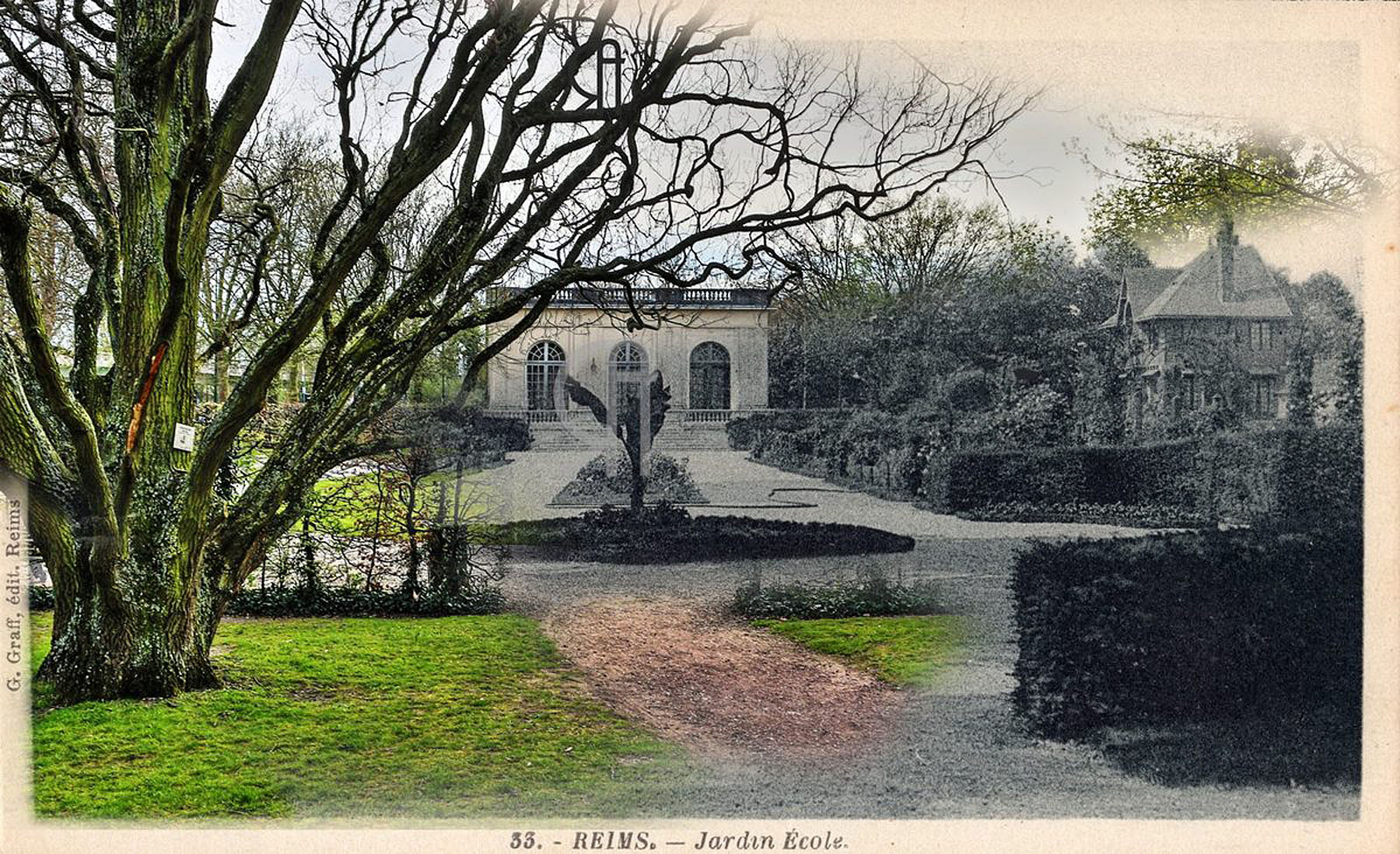 jardin-tg