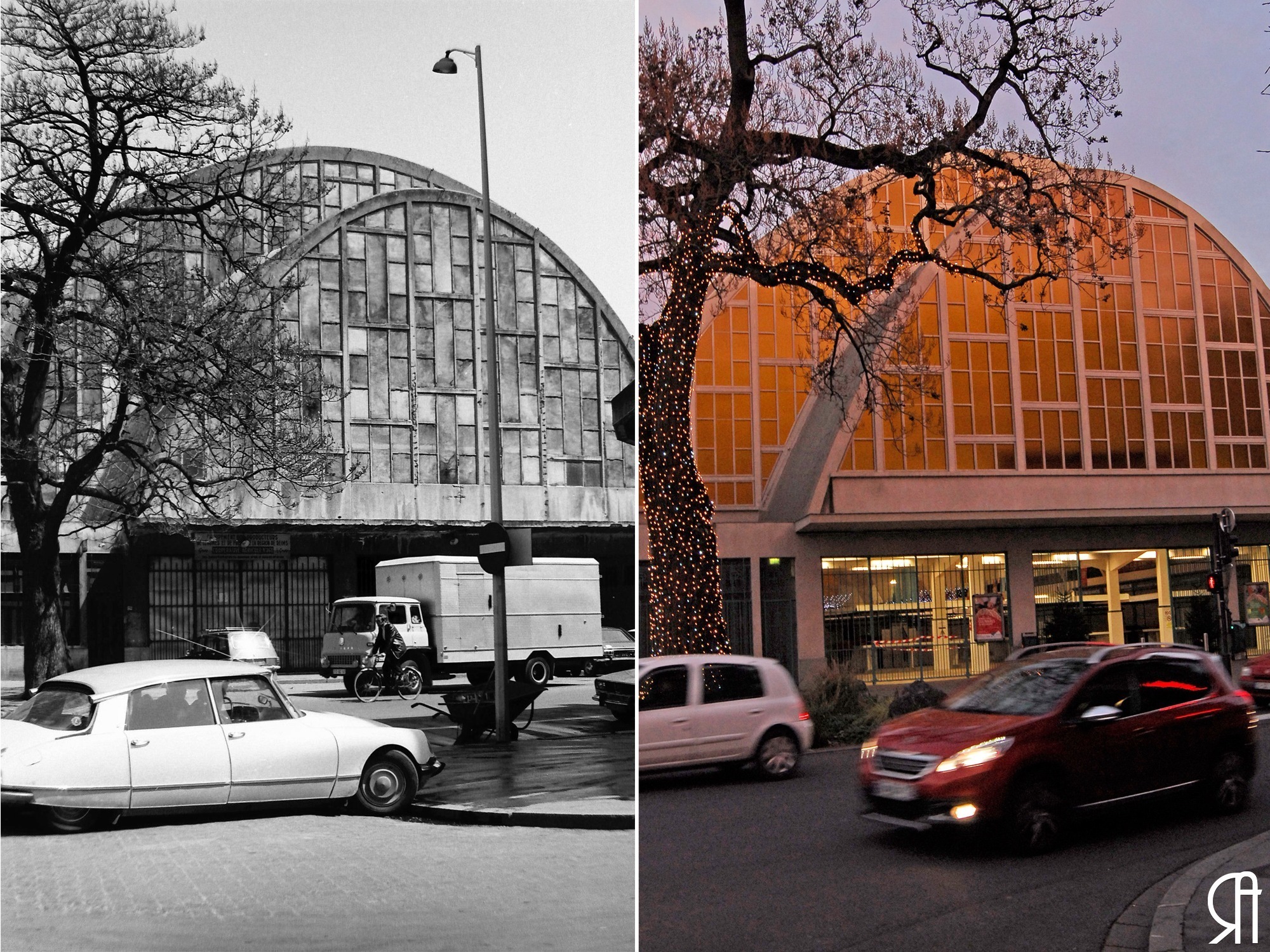 Le paulownia  des halles centrales avec son habit de Noël