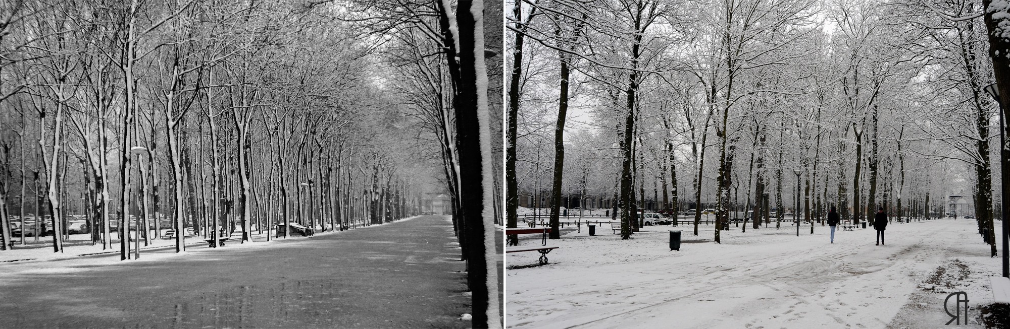 Les Basses Promenades