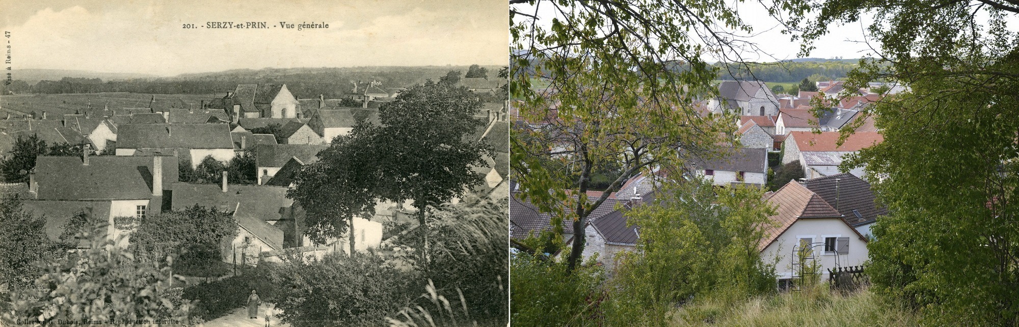Le village de Serzy-et-Prin, vu depuis le nord-ouest